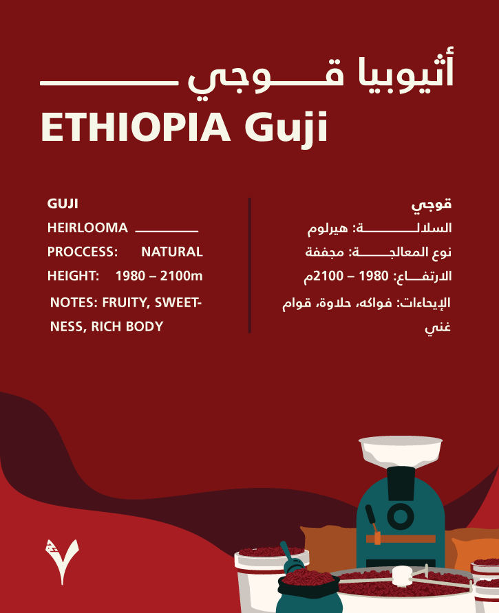 قهوة اثيوبيا قوجي 250 جرام + 2 كوب هدية